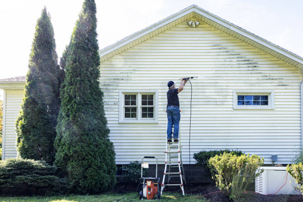 Best Roof Cleaning and Mildew Removal in Santa Rosa, TX