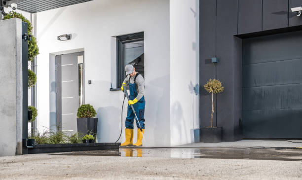 Best Brick and Stone Cleaning in Santa Rosa, TX